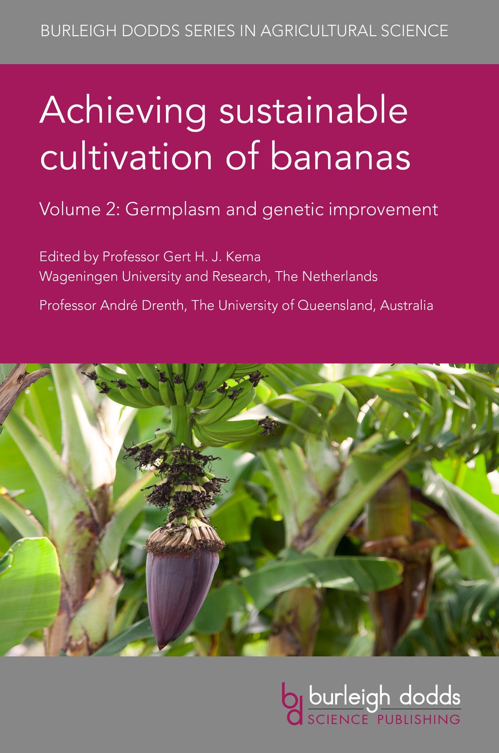 Book cover image for Achieving sustainable cultivation of bananas Volume 2 ISBN: 9781786763440